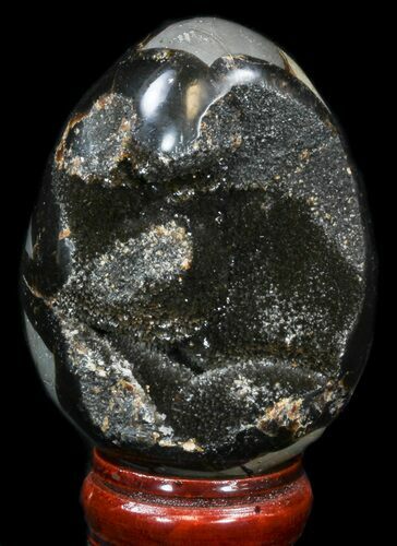 Septarian Dragon Egg Geode - Black Calcite Crystals #33995